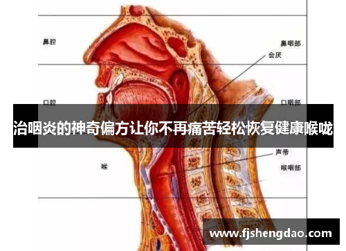 治咽炎的神奇偏方让你不再痛苦轻松恢复健康喉咙