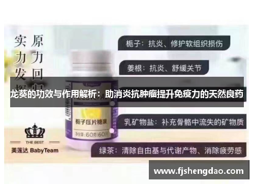 龙葵的功效与作用解析：助消炎抗肿瘤提升免疫力的天然良药